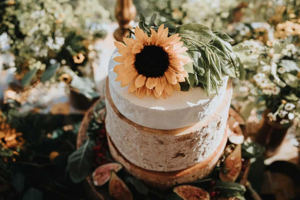 Unique wedding cheese cake featuring stacked wheels of artisan cheese, topped with a vibrant sunflower and fresh greenery, surrounded by figs and rustic décor for a charming countryside vibe.